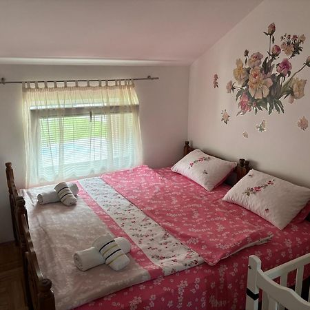 Elena Apartment Plužine Ngoại thất bức ảnh