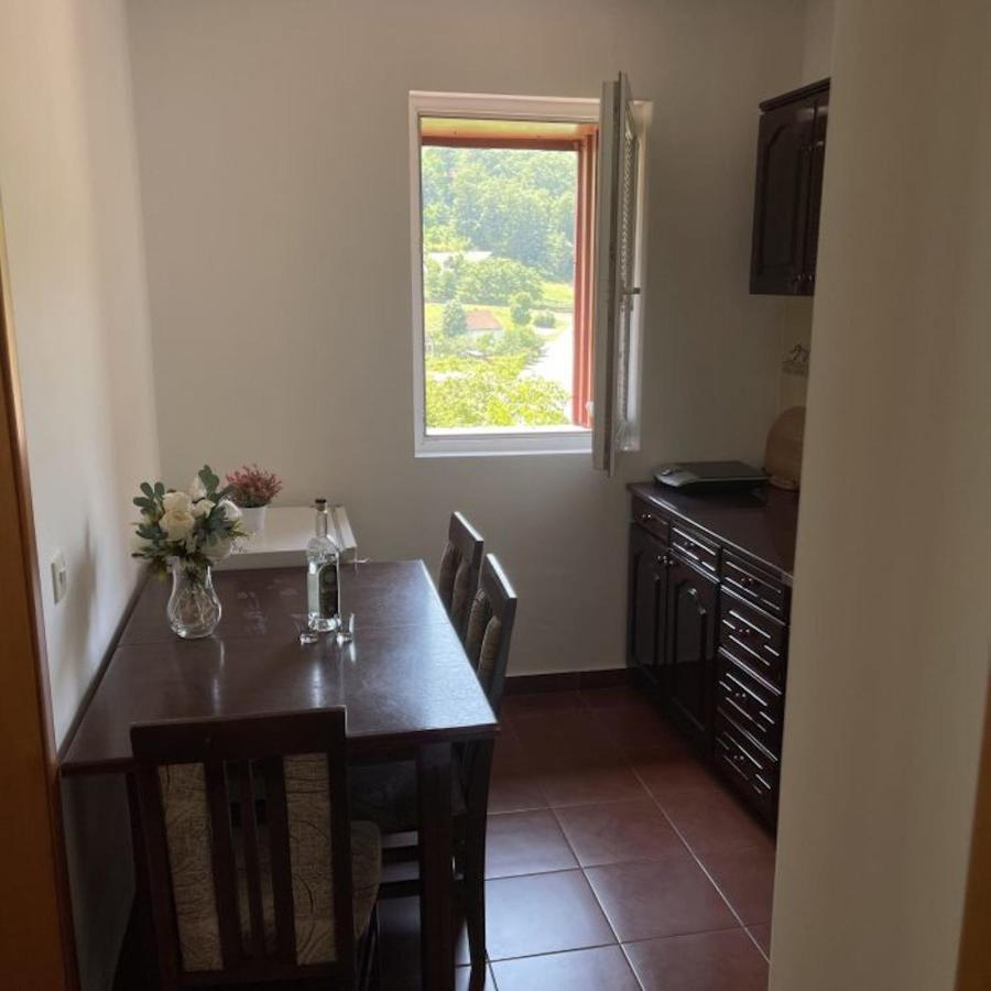 Elena Apartment Plužine Ngoại thất bức ảnh