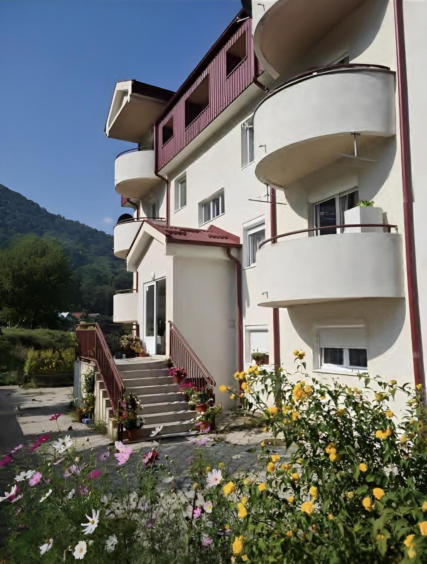 Elena Apartment Plužine Ngoại thất bức ảnh