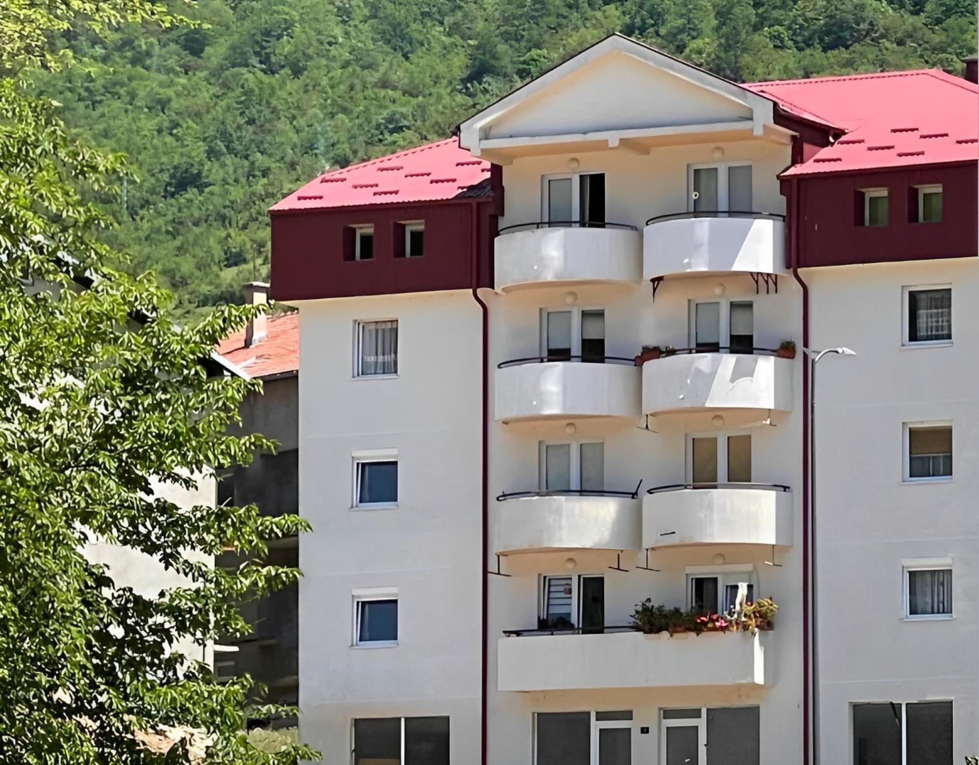 Elena Apartment Plužine Ngoại thất bức ảnh